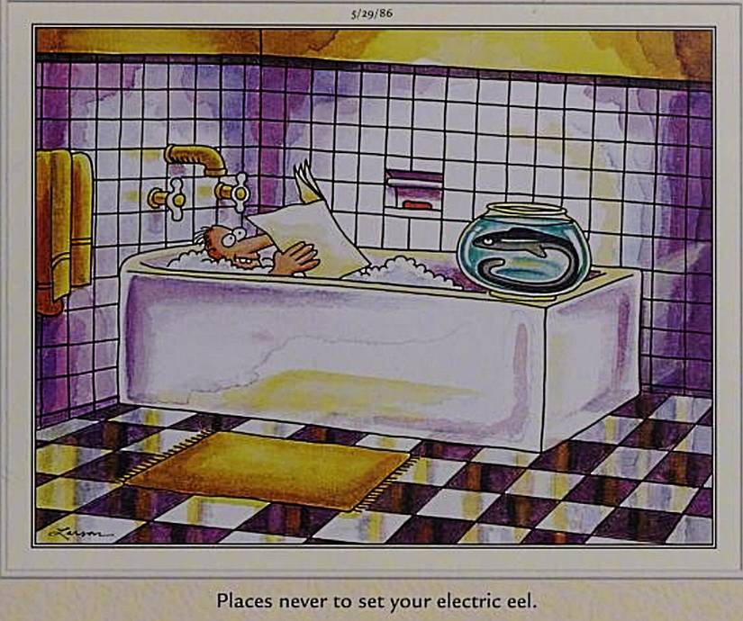Far Side, May 29, 1986, 'places never to set your electric eel'