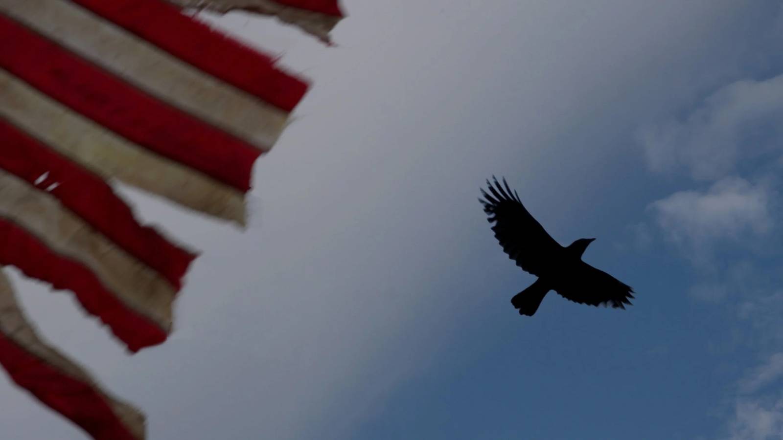 7 Fan Theories About What From's Crows Really Mean