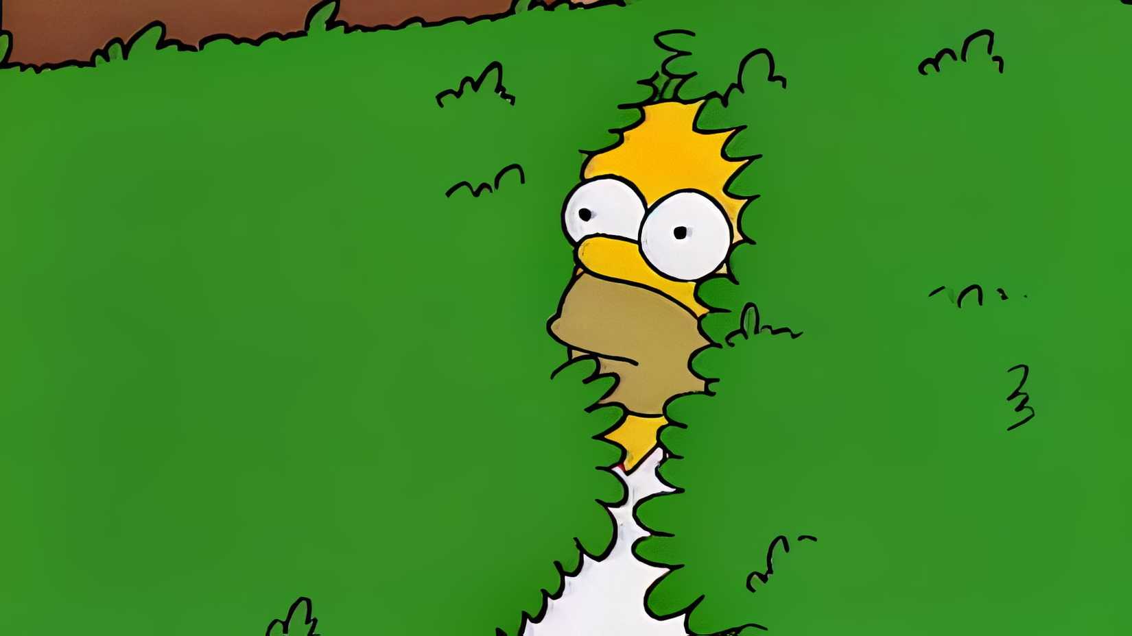 Homer in the bushes in The Simpsons
