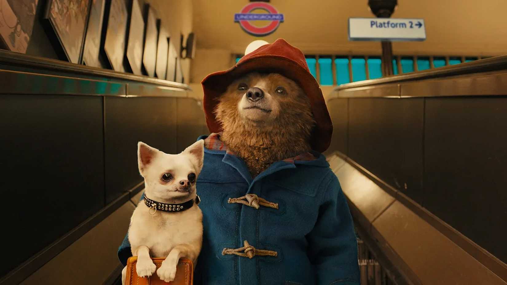 Paddington holds a dog on an escalator in Paddington 