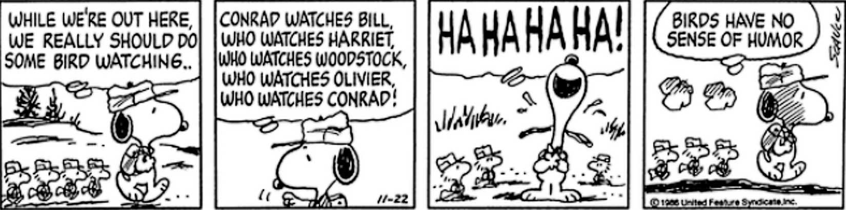 Peanuts, Snoopy says birds have no sense of humor