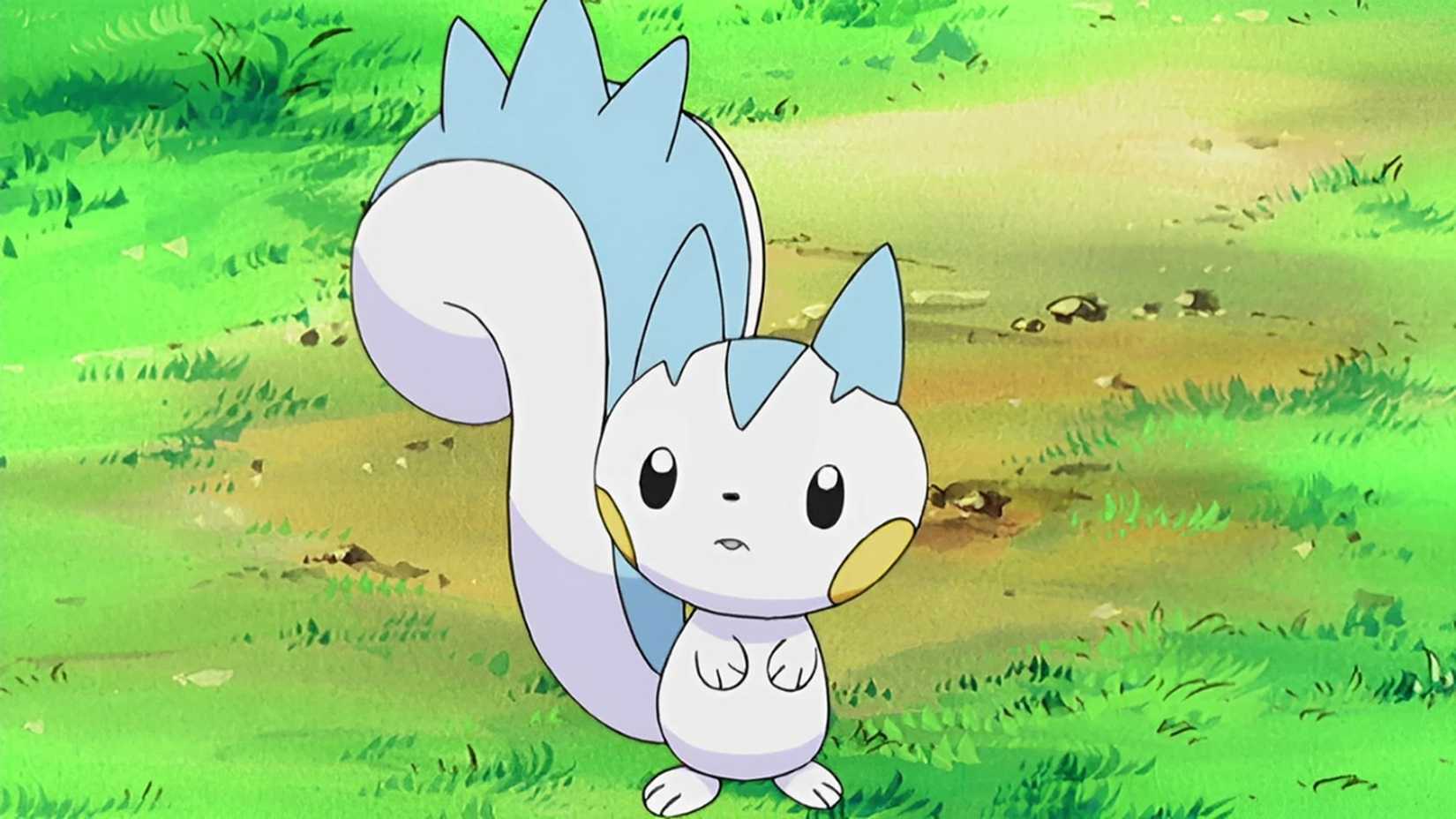 Pachirisu in the anime