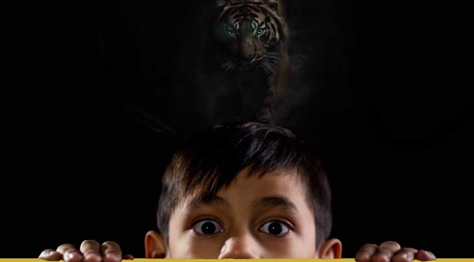 poster for adaptation of stephen king story here there be tygers-1