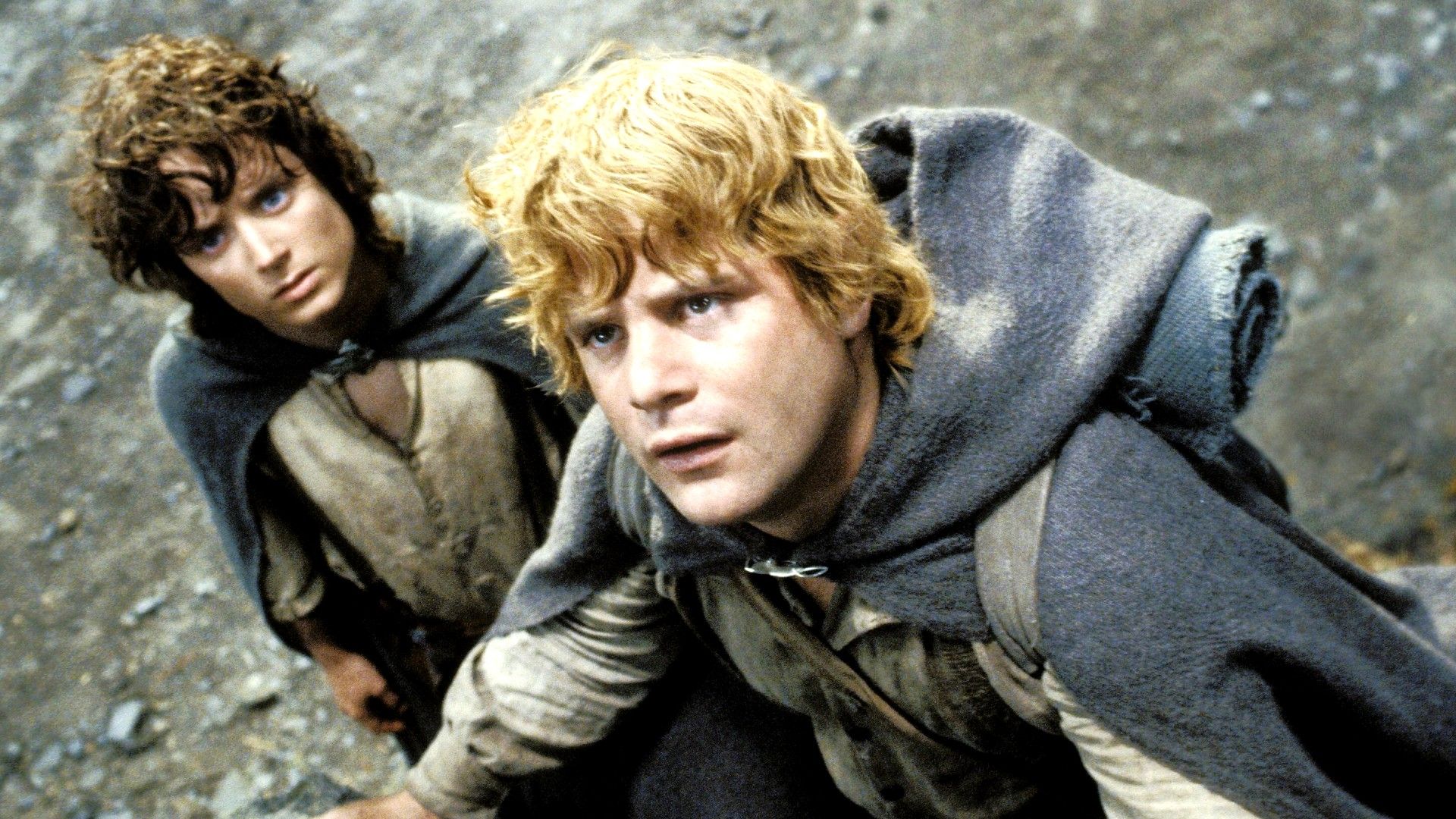 Samwise and Frodo together in Lord of the Rings Return of the King