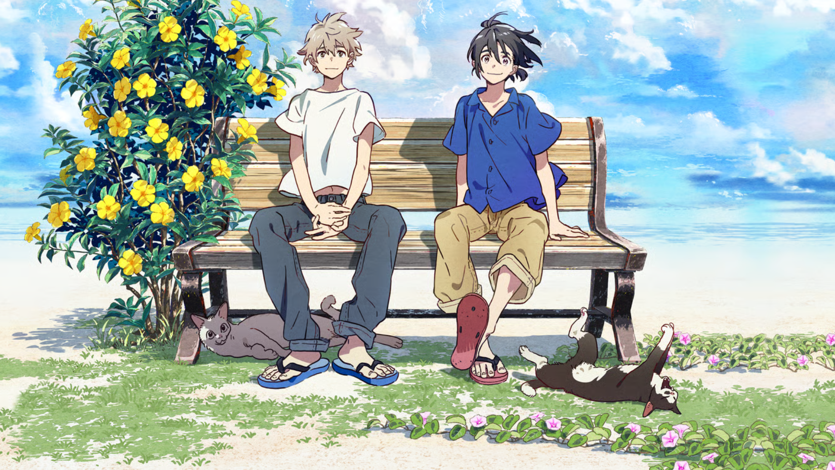 Stranger by the Shore anime