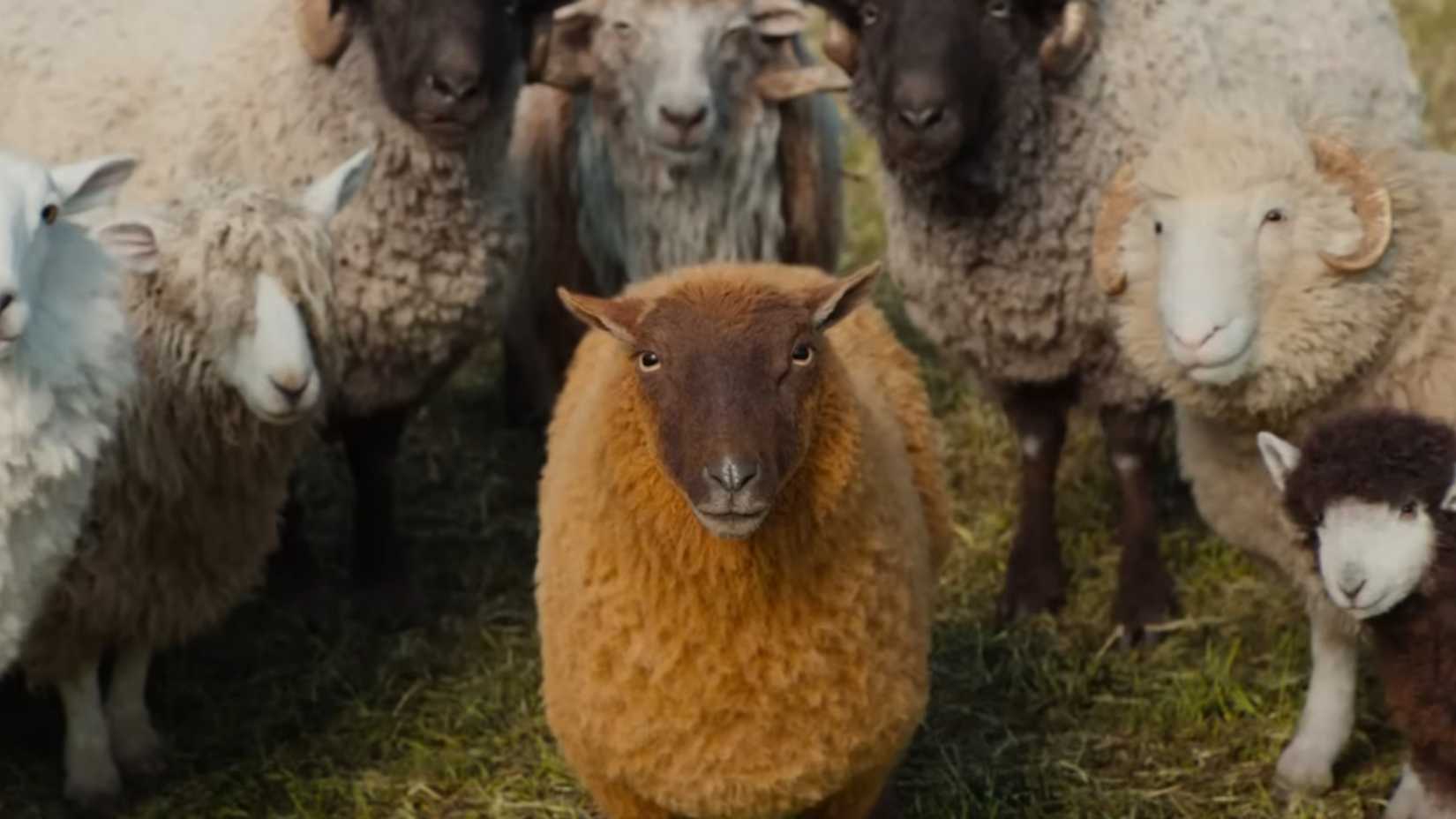 The Sheep Detectives Voice Cast Every Sheep Who They re Voiced By the-sheep-detectives-voice-cast-every-sheep-who-they-re-voiced-by