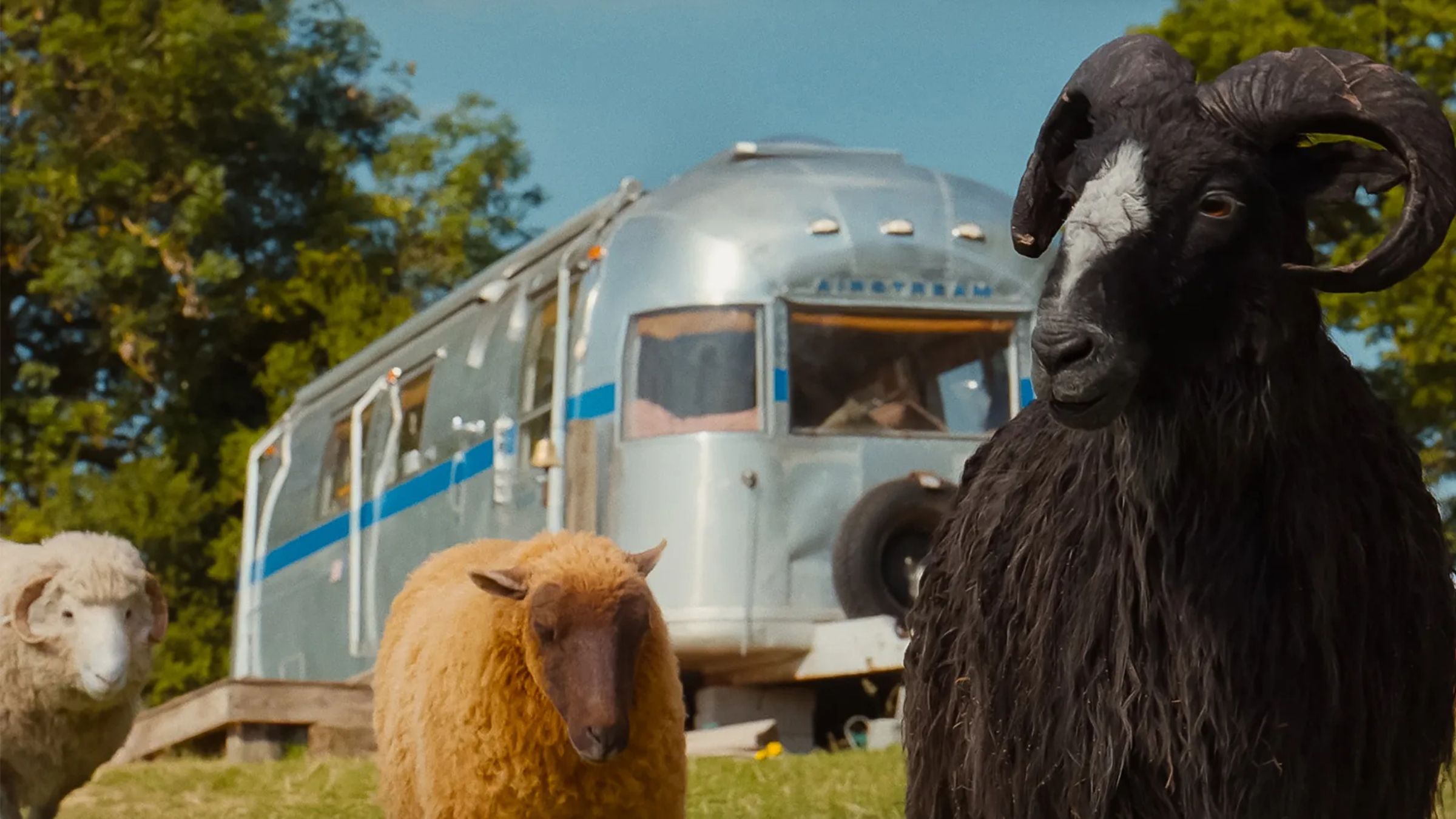 The Sheep Detectives (2026) (3)