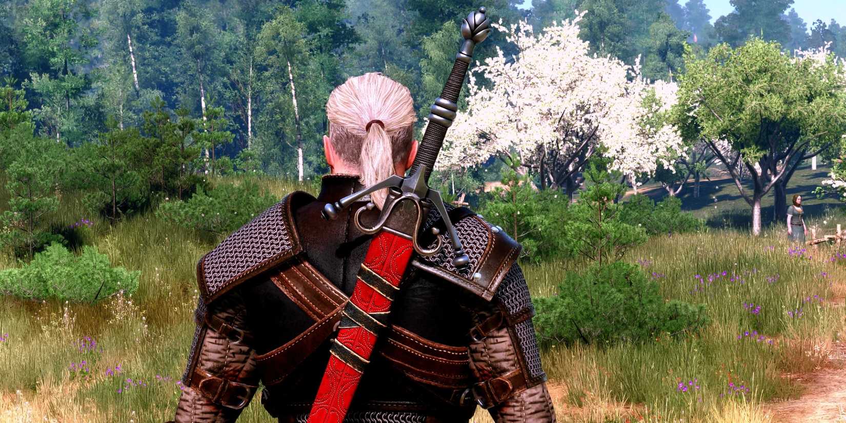 A screenshot shows Geraly with a modded sword on his back in The Witcher 3.