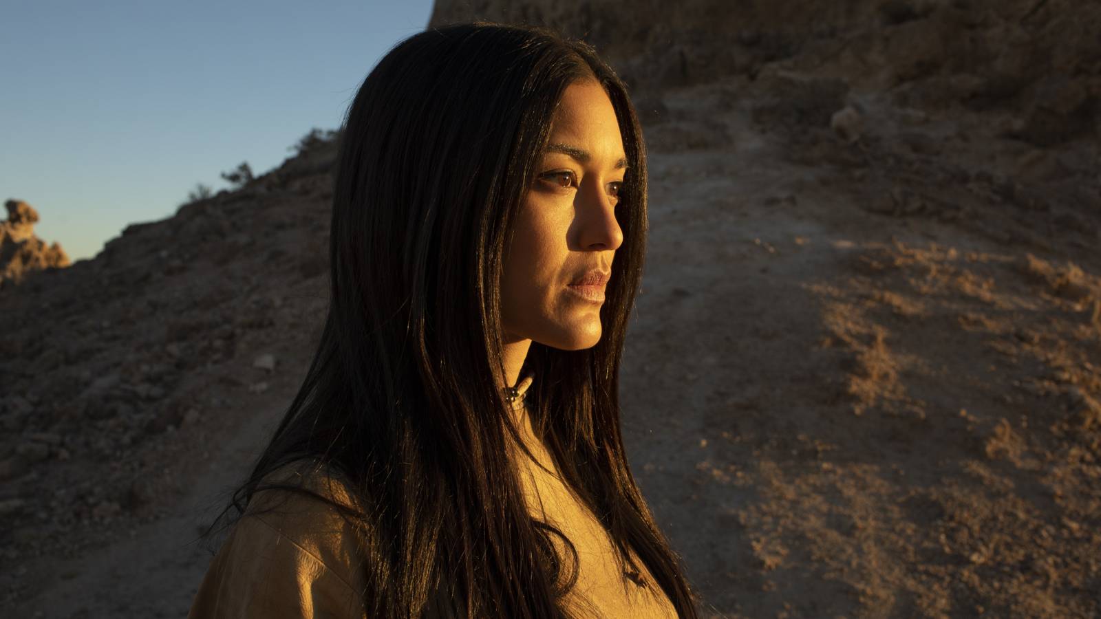 HBO’s Westworld boasts one of TV’s most star‑studded sci‑fi western