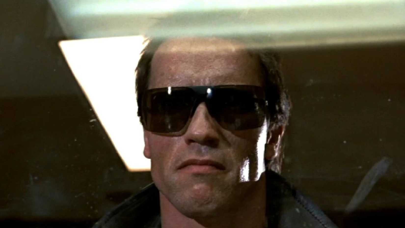 Arnold Schwarzenegger as the Terminator