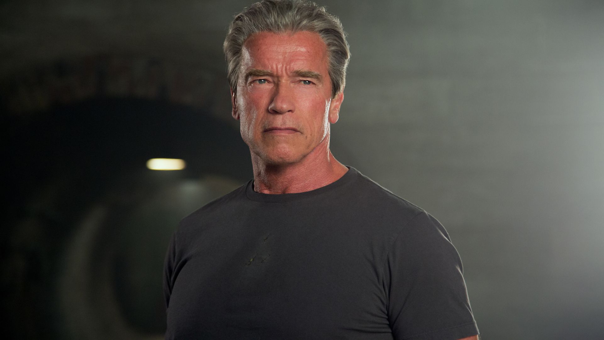 Arnold Schwarzenegger's Iconic Fantasy Franchise Is Officially Back image