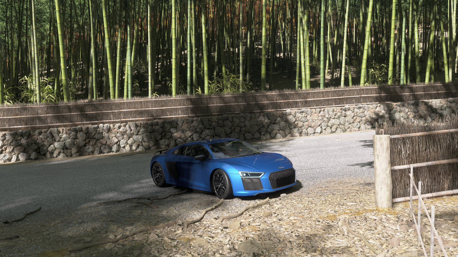 أين تجد الخيزران في Forza Horizon 6 أين تجد الخيزران في Forza Horizon 6