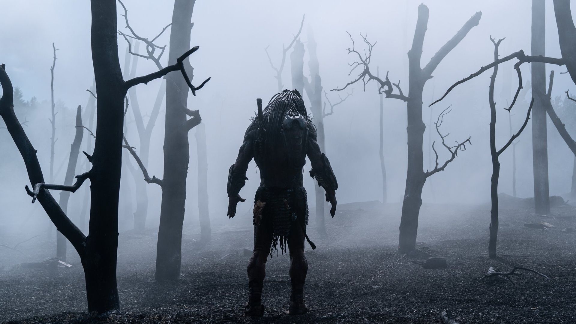 Disney's Predator Movie Is So Good, We Forgive It For Not Being A Predator Movie image