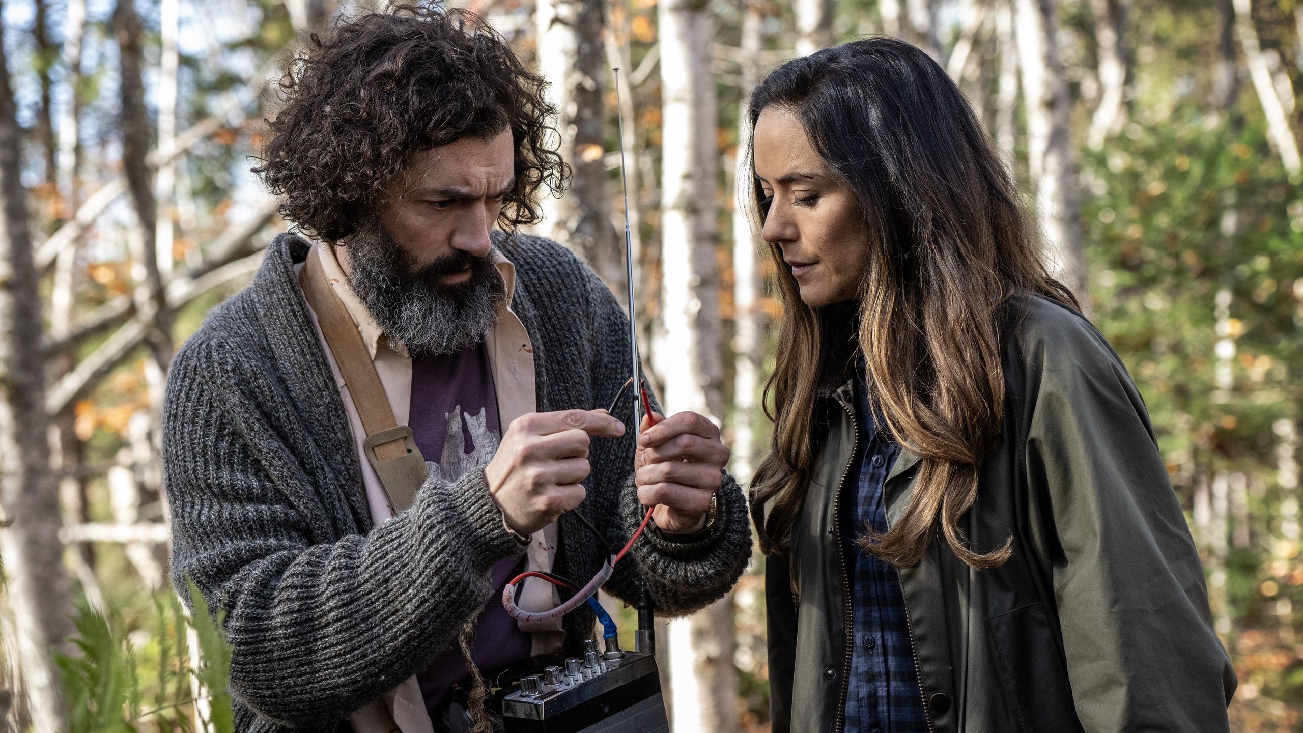 10 Biggest Mysteries Answered In From Season 4 image