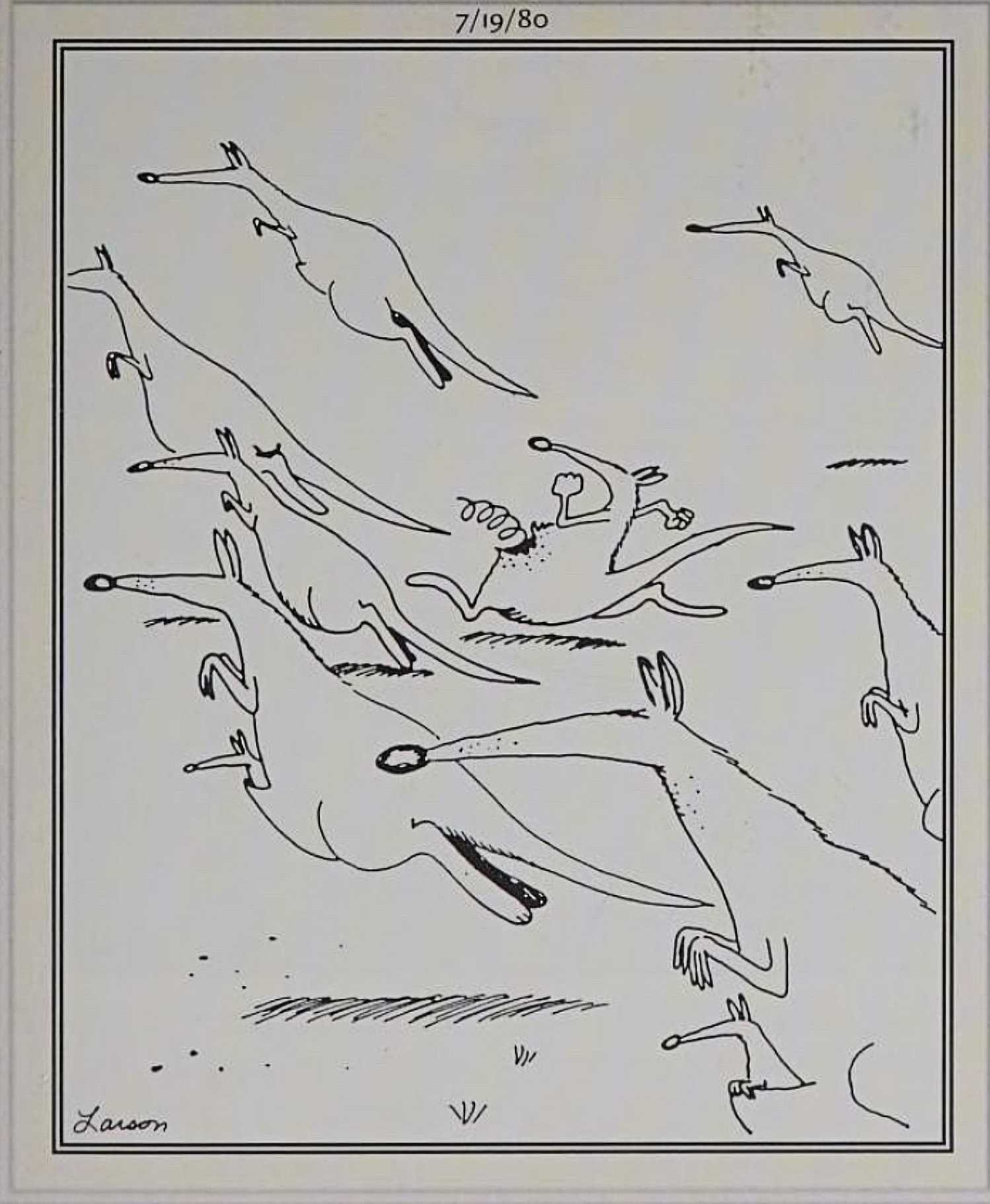 Far Side, July 19, 1980, a kangaroo with a broken spring