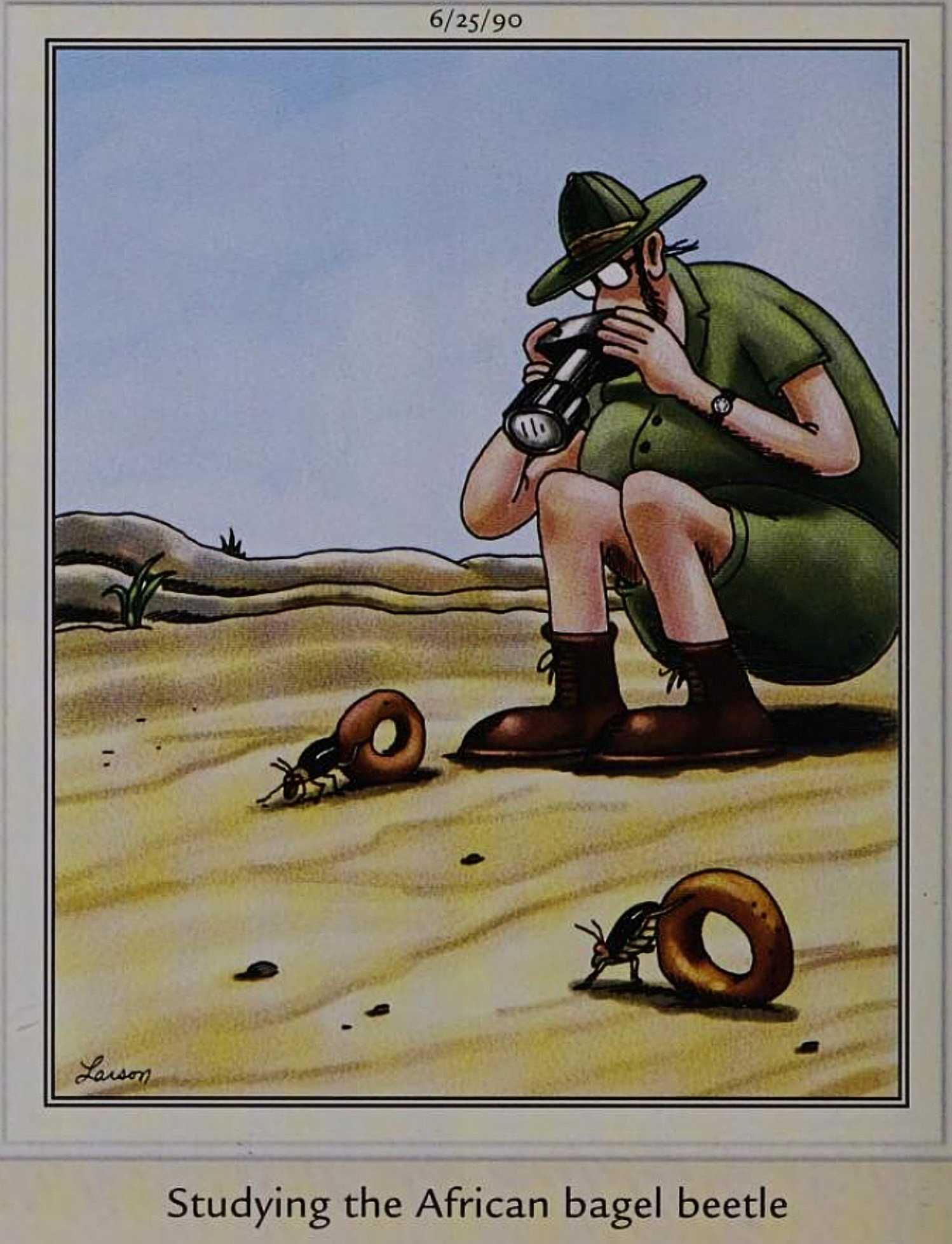 Far Side, June 25, 1990, 'bagel beetles'