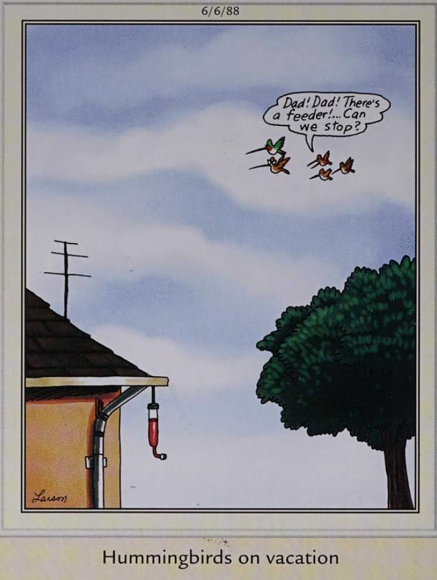 Far Side, 6 ביוני 1988, 'ציפורי דבש בחופשה'