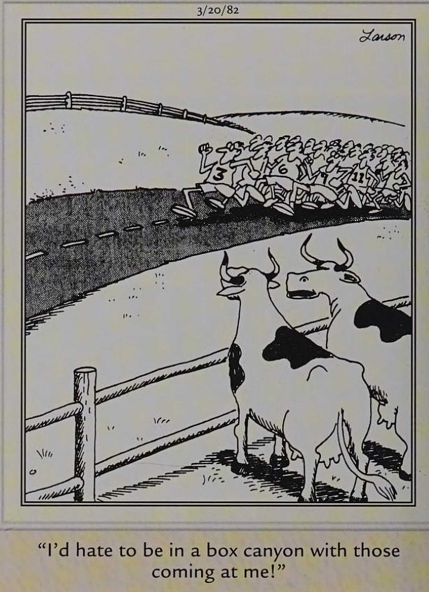 Far Side, March 20, 1982, cows comment on a human marathon