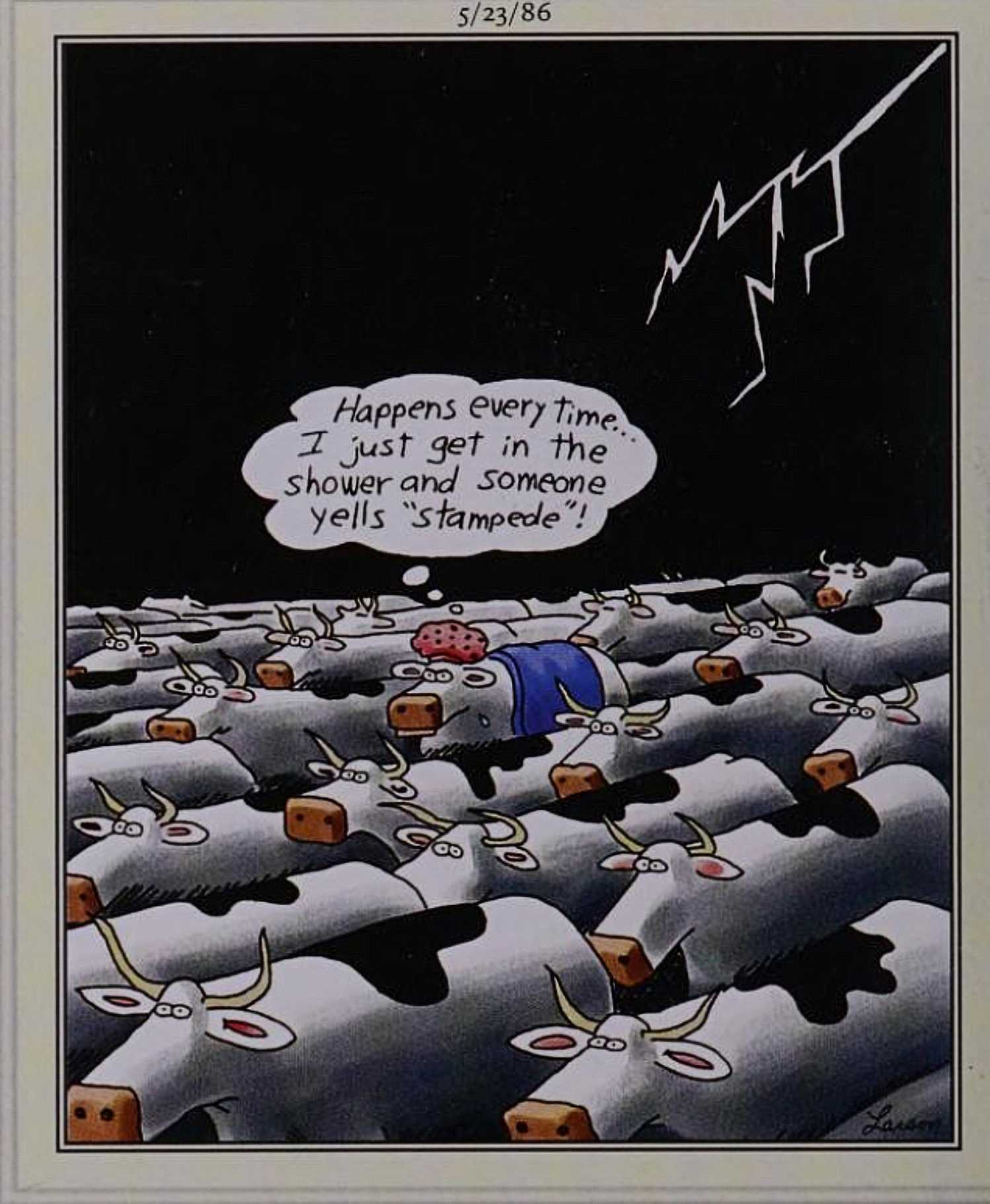 Far Side, May 23, 1986, a cow in a shower cap in the midst of a stampede
