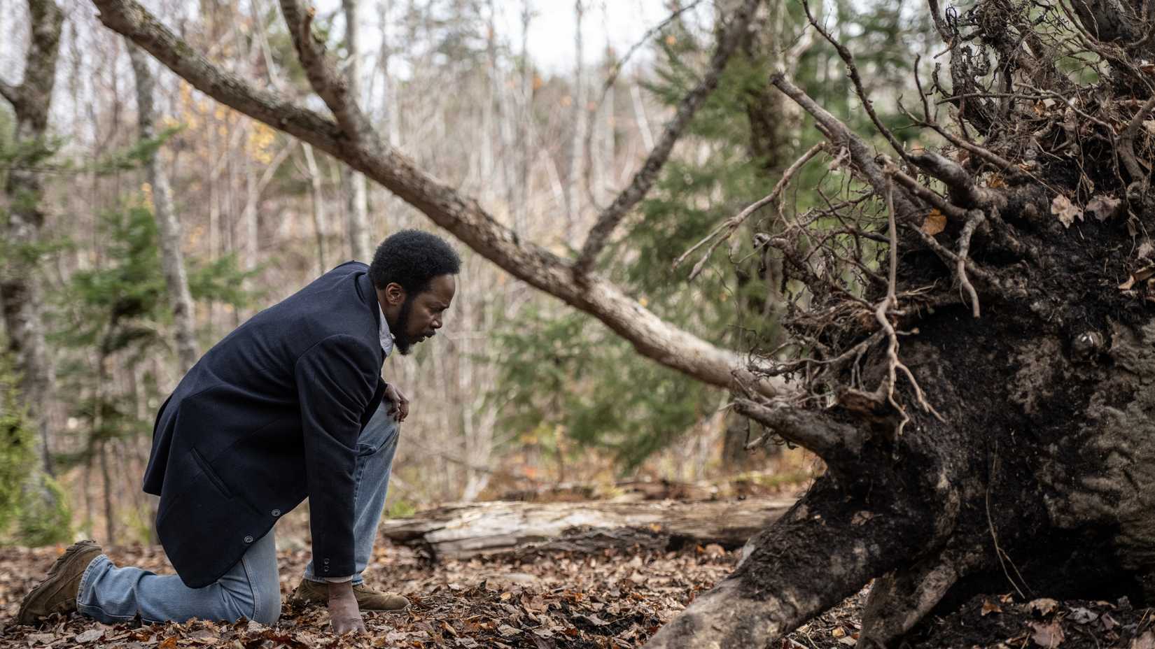 Harold Perrineau as Boyd Stevens kneeling by the pulled up bottle tree in From season 4, episode 10