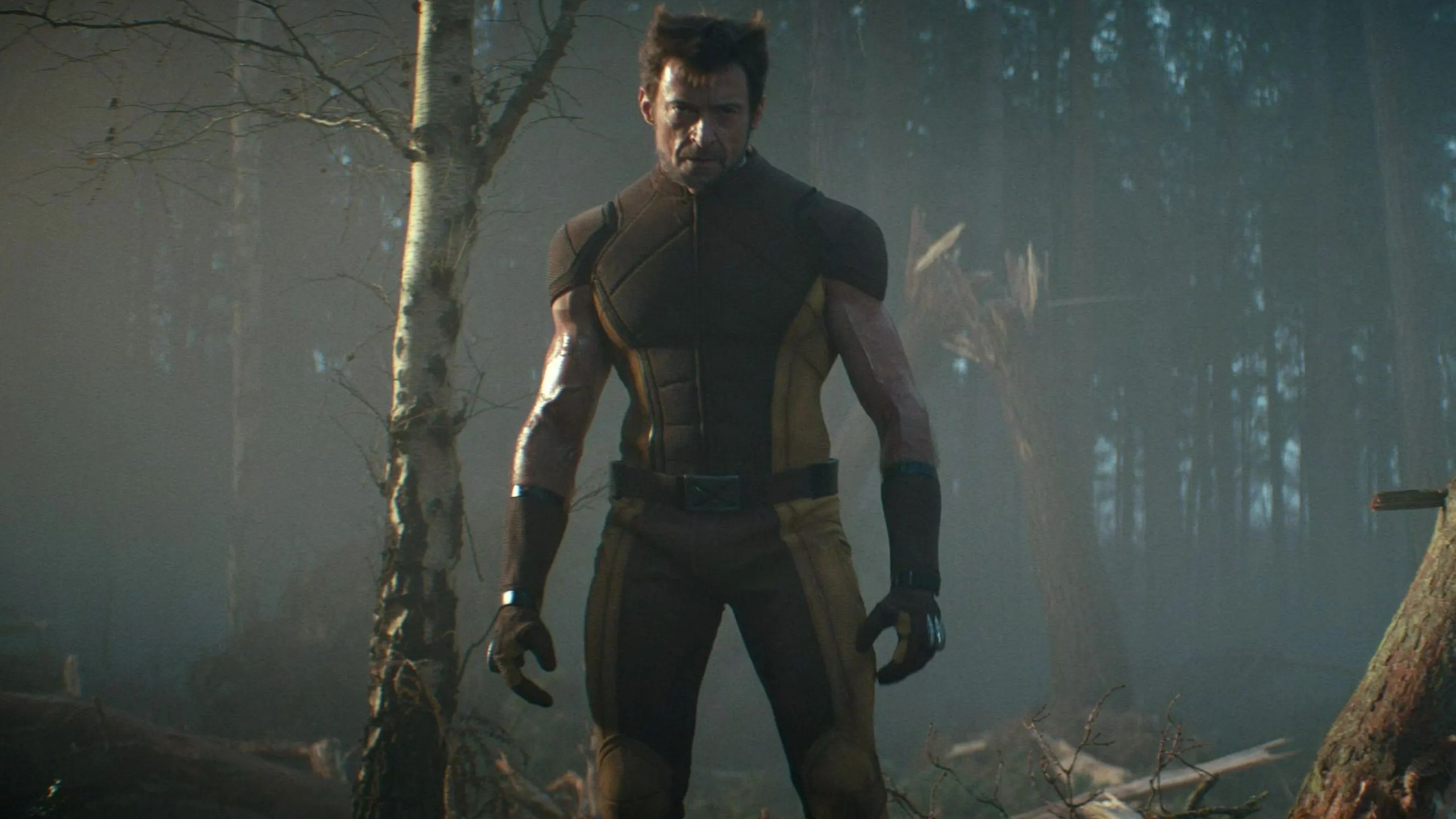 Marvel Officially Reveals Wolverine's Costume For His Next Appearance After Deadpool & Wolverine image
