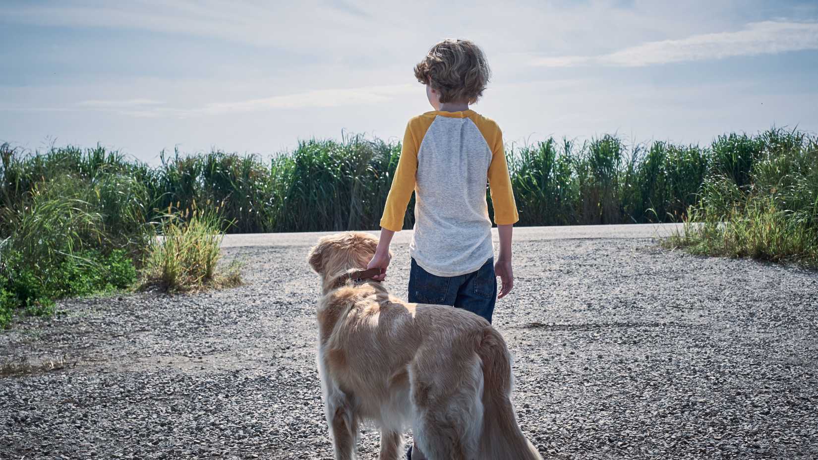 Will Buie Jr. as Tobin Humboldt with his dog in front of a field in In the Tall Grass.