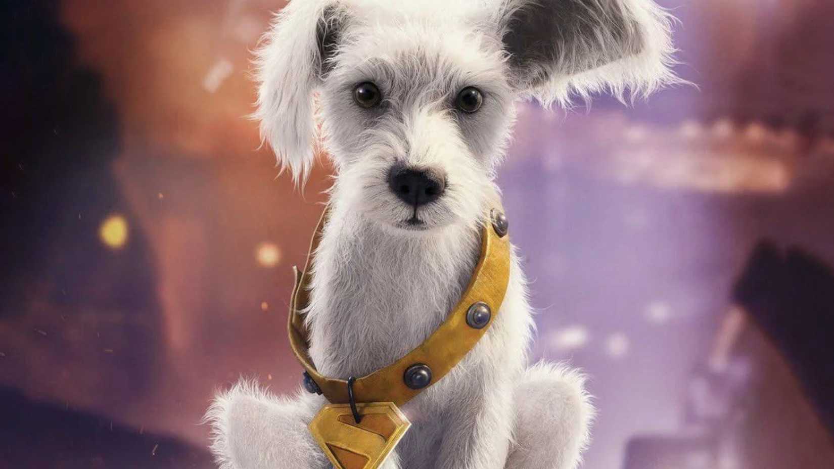 Krypto Super Dog Supergirl Poster