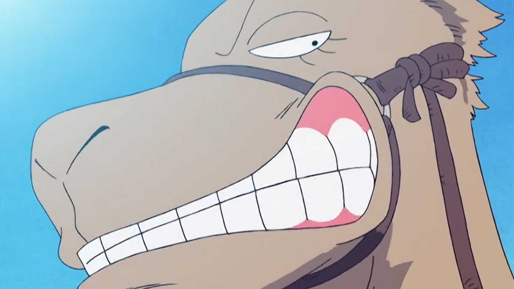 Eyelash the camel grinning at Chopper