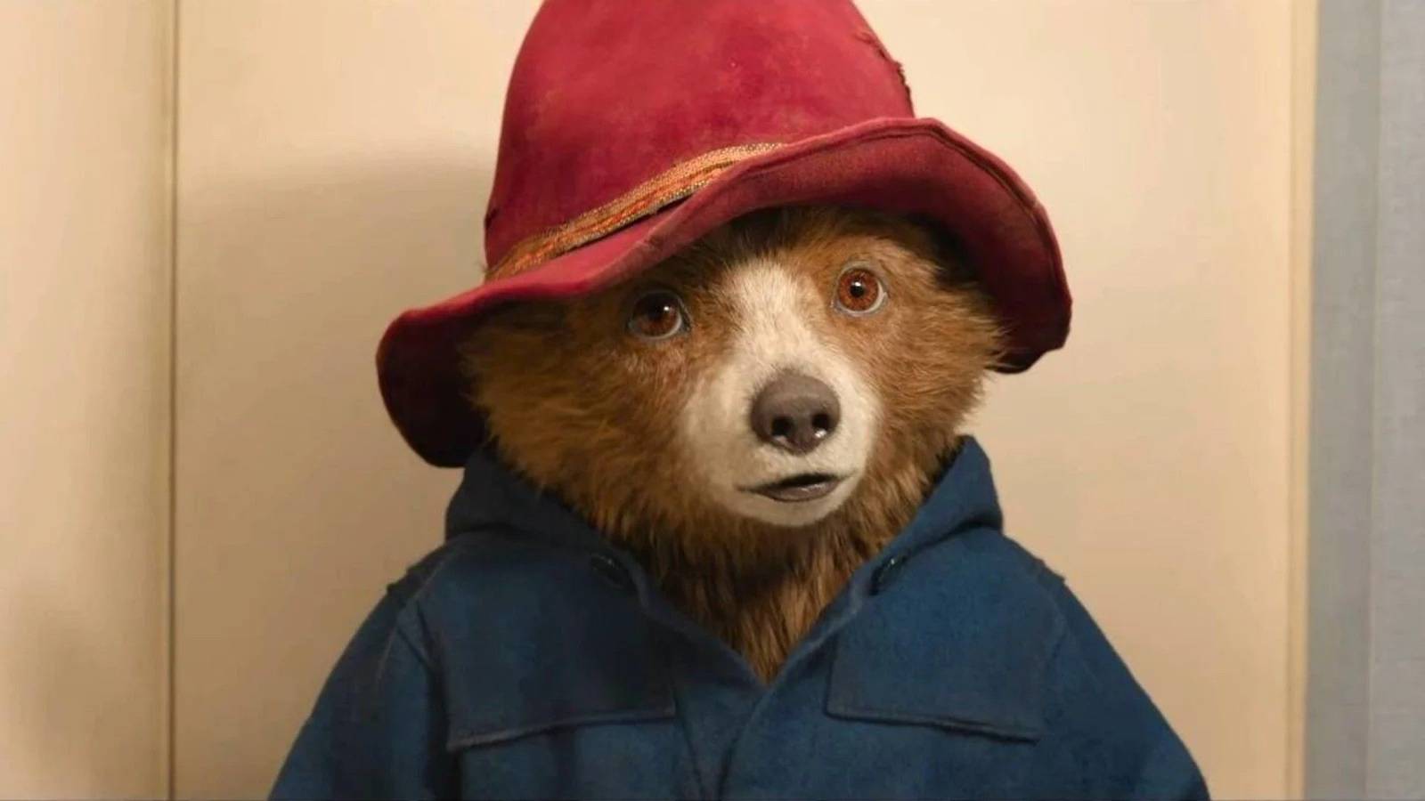 Paddington Is Officially Returning Next Year After Format Change