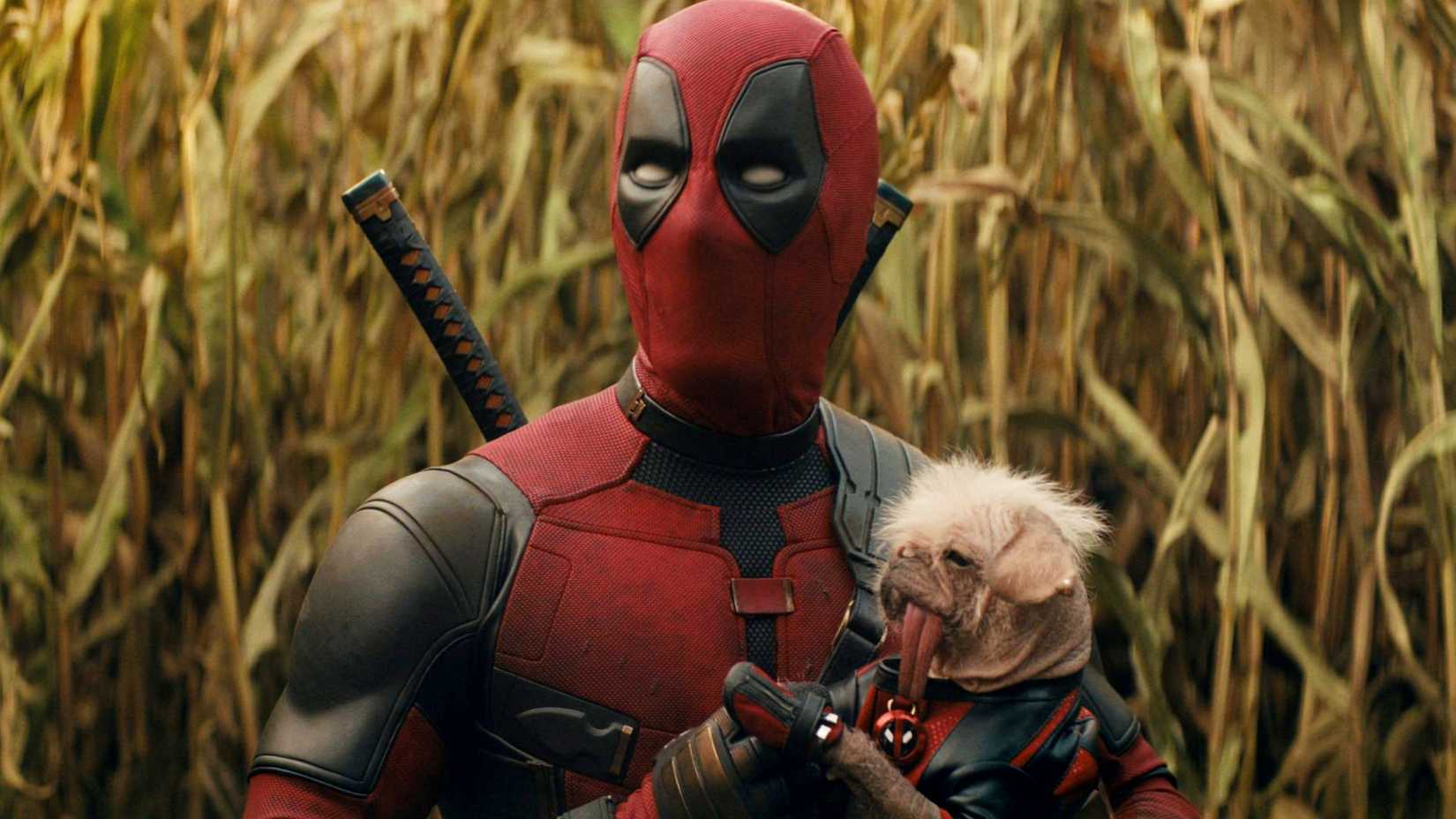 Ryan Reynolds' Deadpool holding Dogpool in Deadpool & Wolverine