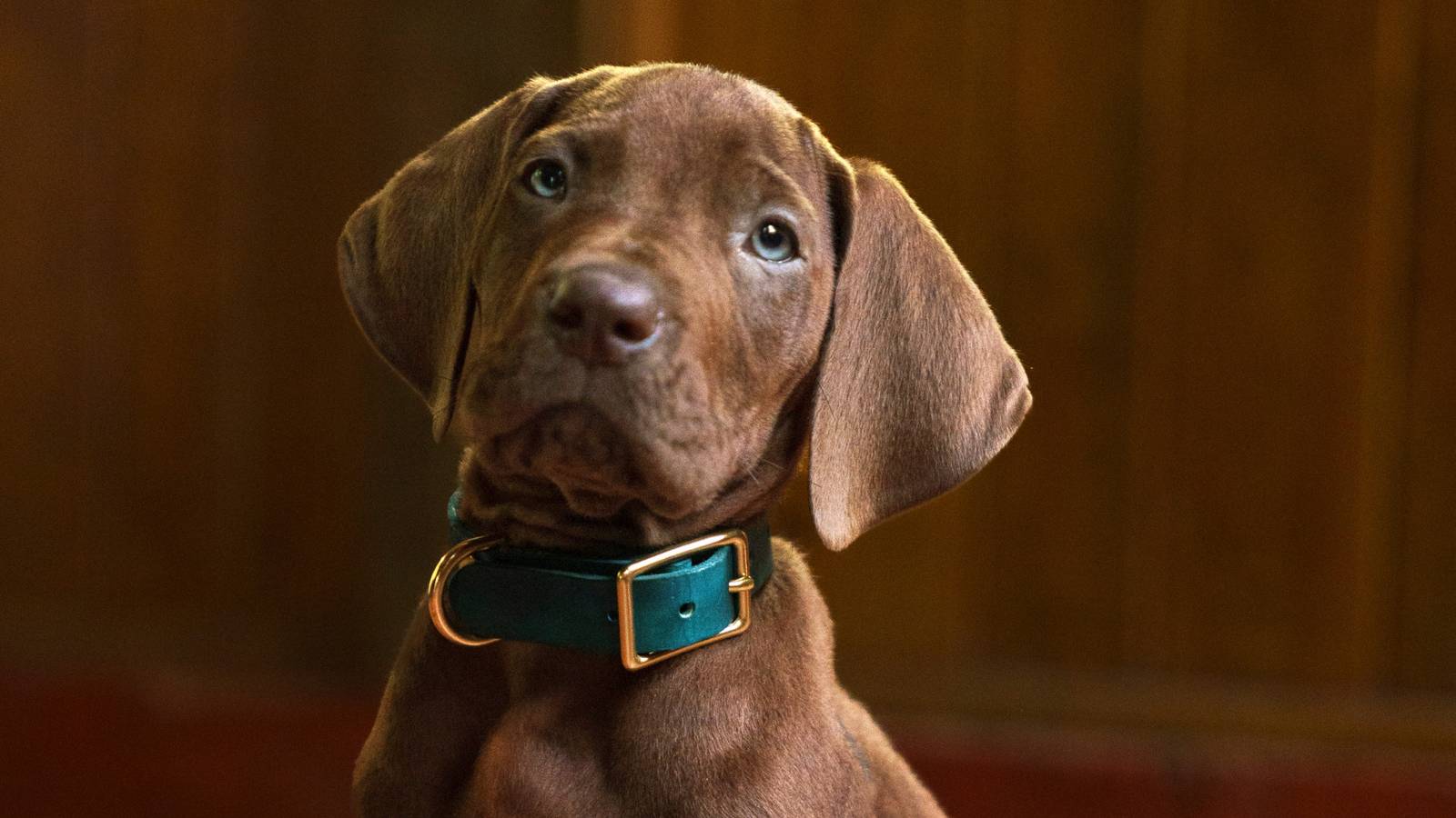 Netflix’s Reboot Of Classic Mystery Series Confirms Major Production Update