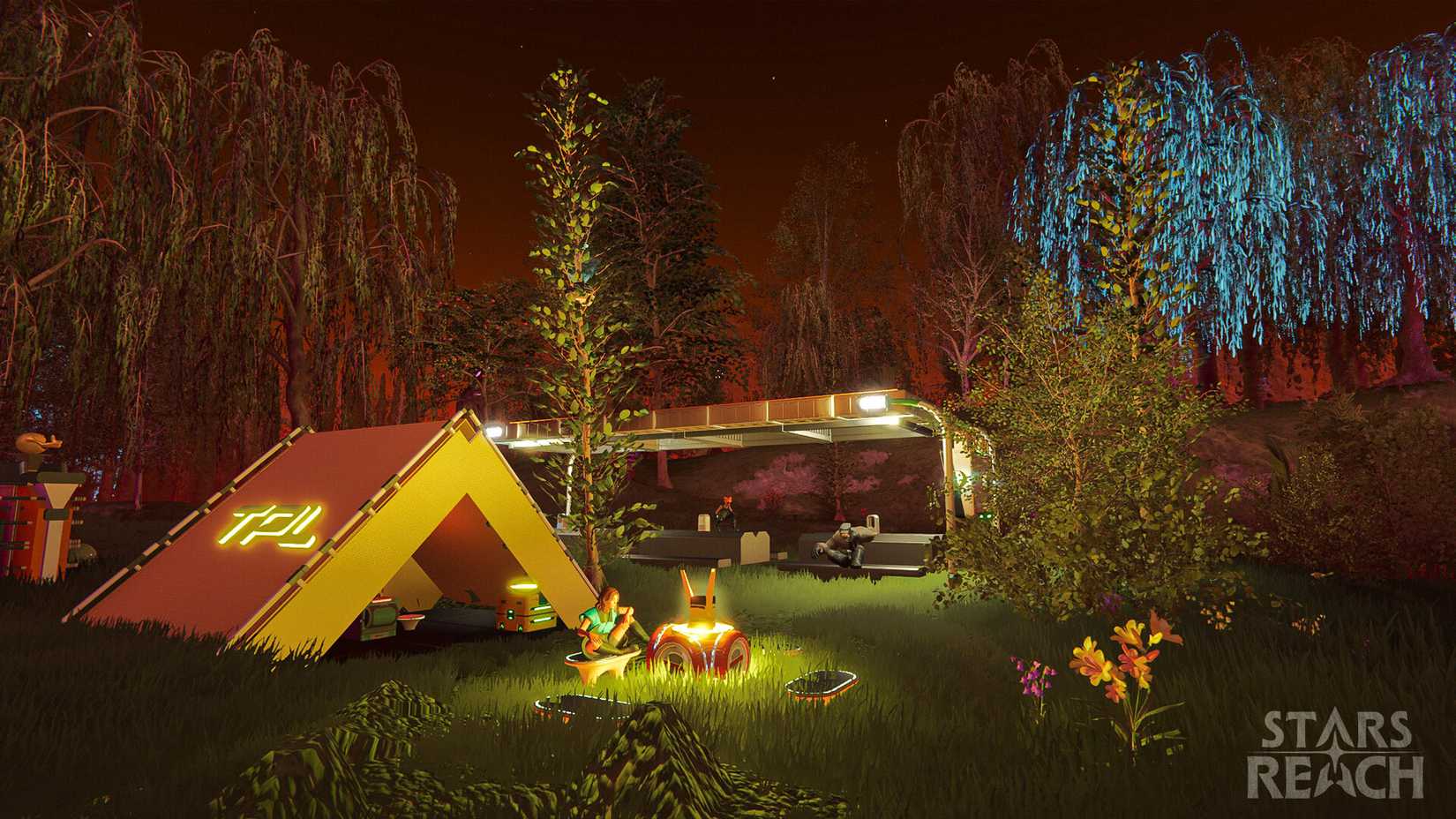 Stars Reach Campsite