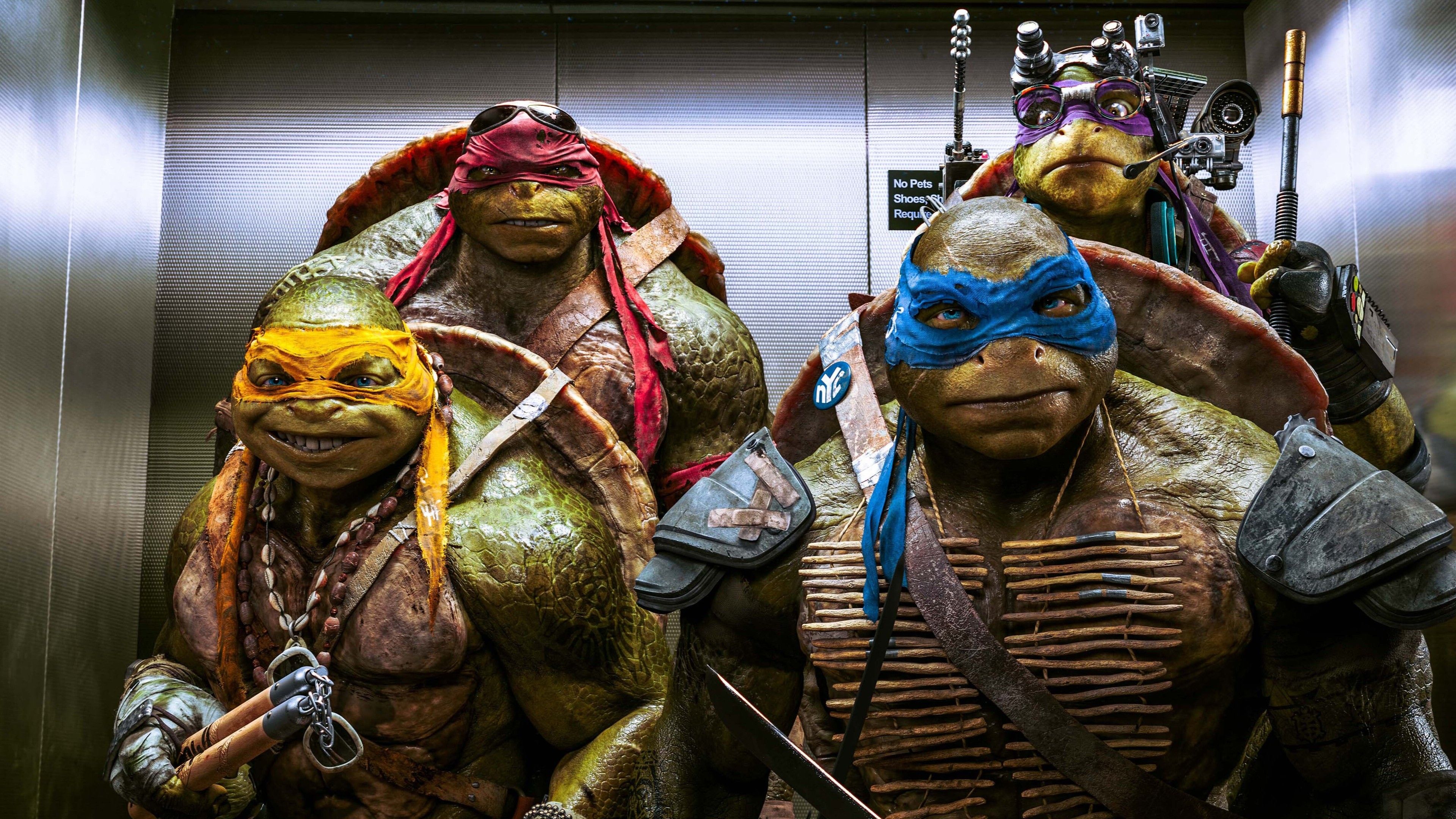 Teenage Mutant Ninja Turtles Is Officially Changing Format image