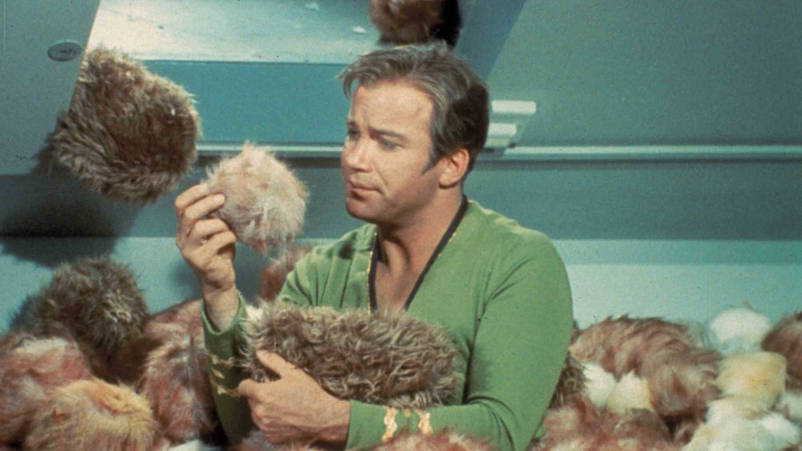 Kirk surrounded by Tribbles