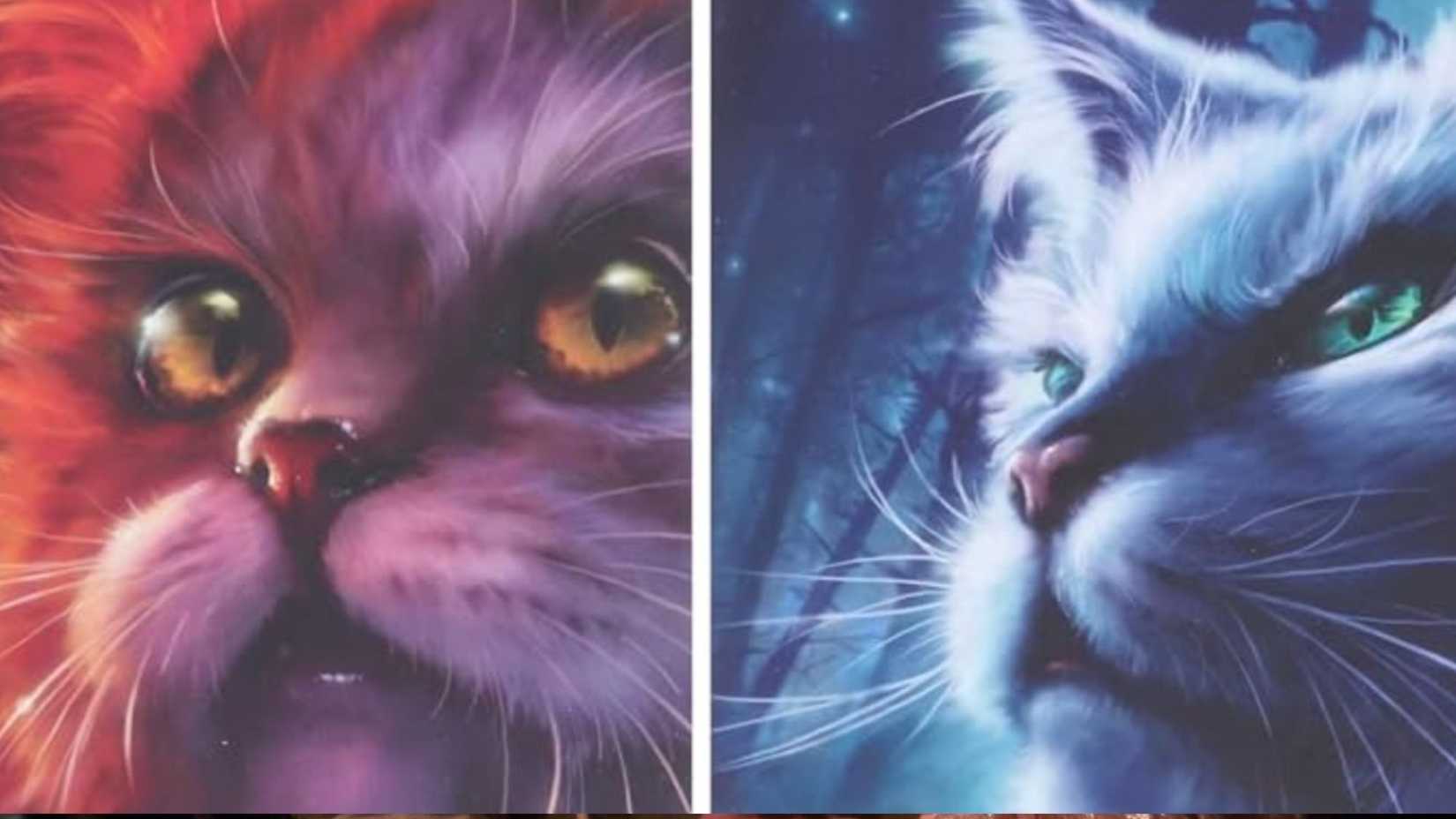 Close up image from the front covers of two Warrior Cats books