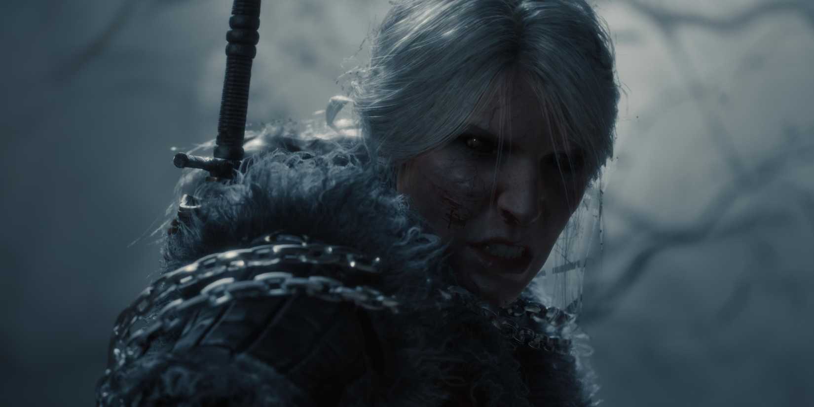 witcher 4 ciri