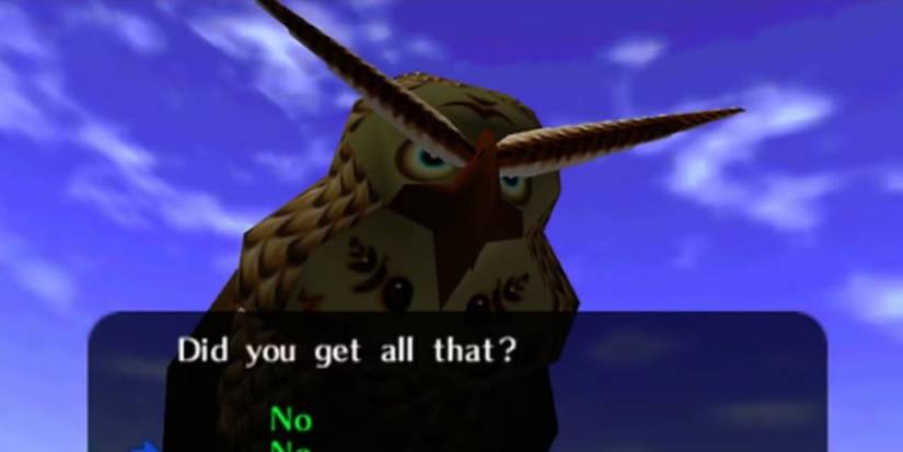 The owl from Ocarina of Time asks Link if he understood