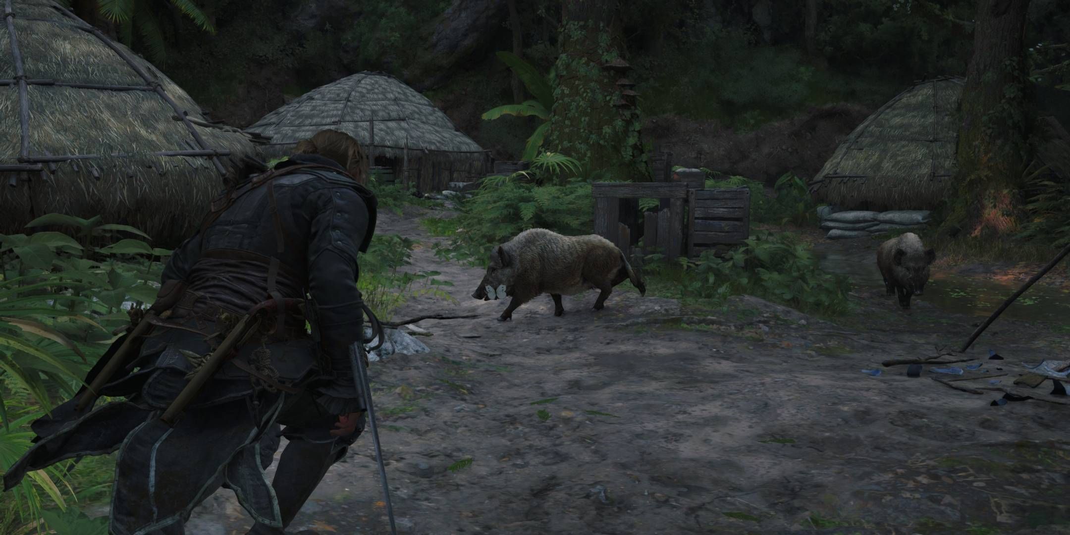 Assassin's Creed Black Flag Resynced: Every Animal You Can Hunt & Where To Find Them