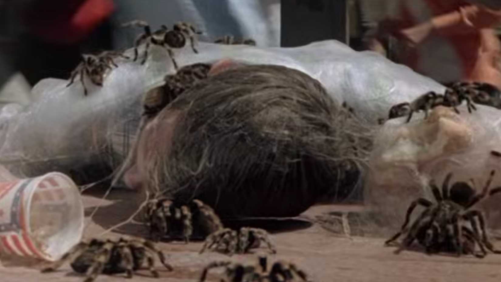 10 Movies With Spider Scenes That Will Make Your Skin Crawl