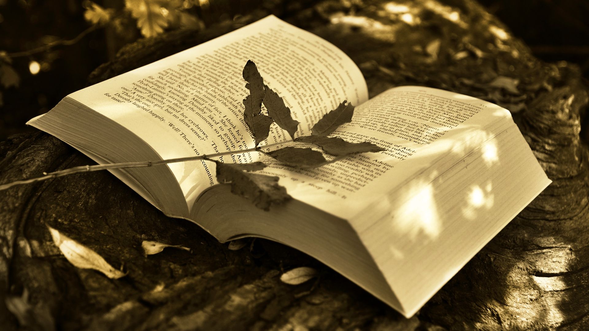 How Little Free Libraries Are Proving There Is Hope For Humanity