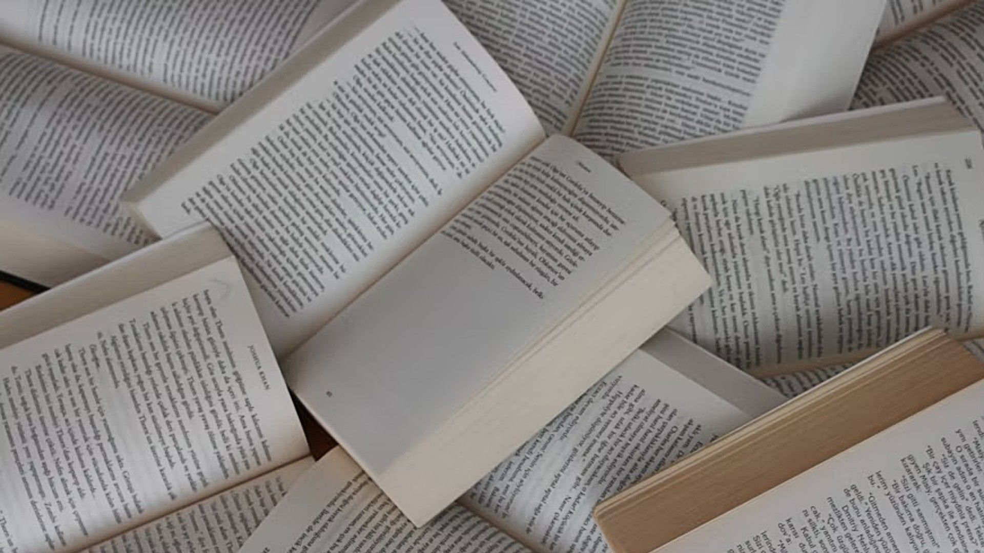12 Perfect Books You Can Read In A Day image