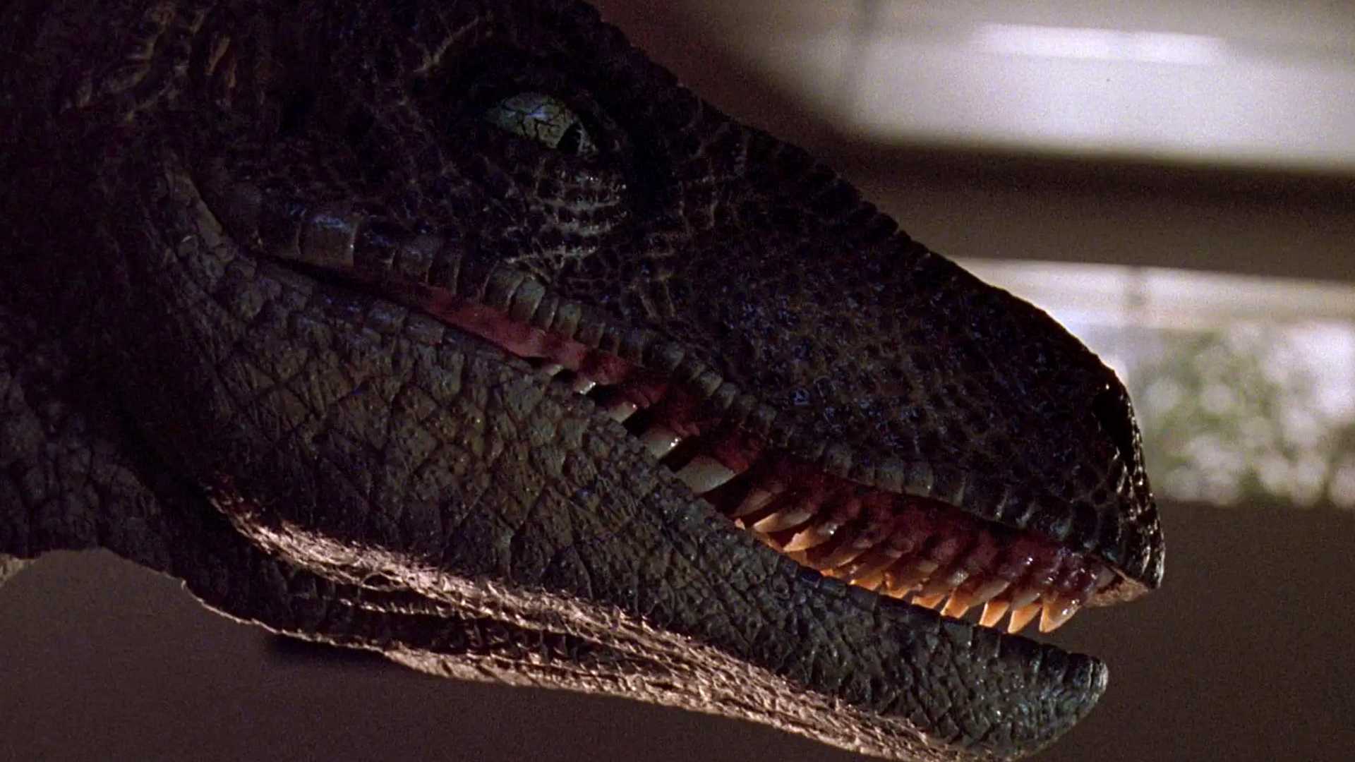 A velociraptor in Jurassic Park