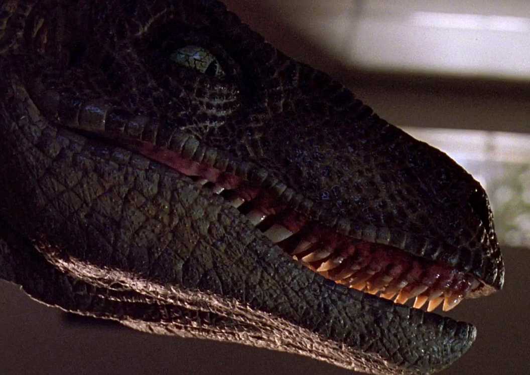 A velociraptor in Jurassic Park