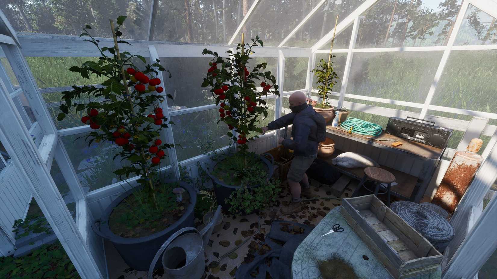 A character in Ardem is harvesting tomatoes.