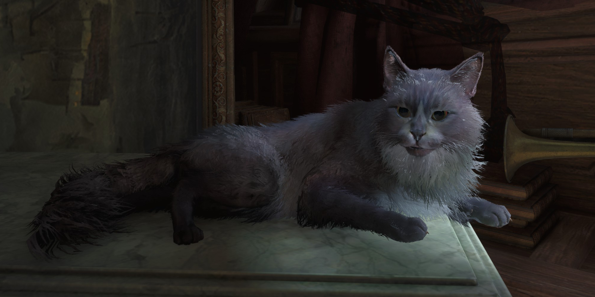Assassin's Creed Black Flag Resynced: Every Ship Pet & How To Unlock Them image