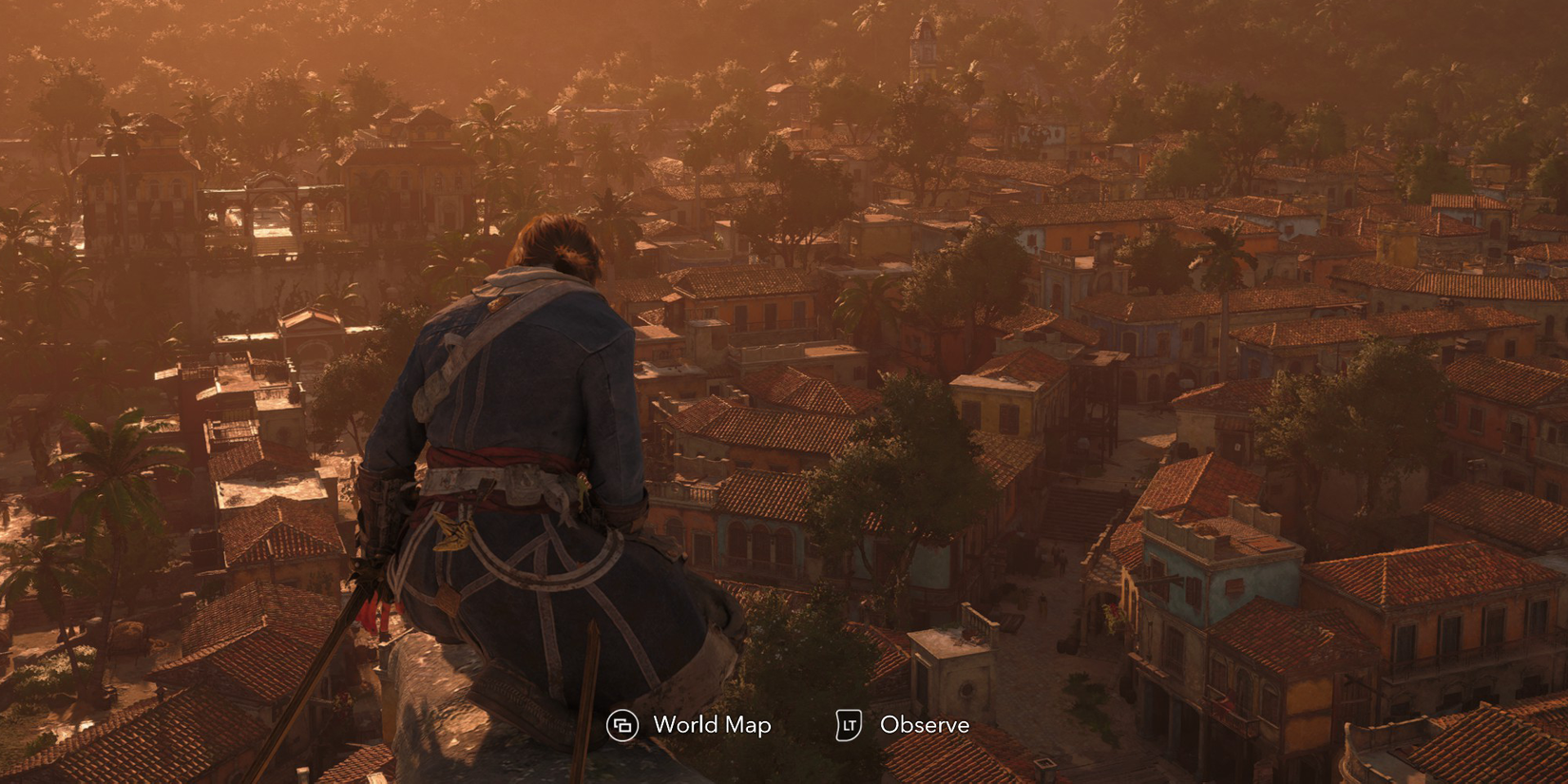 Black Flag Resynced standing on a viewpoint