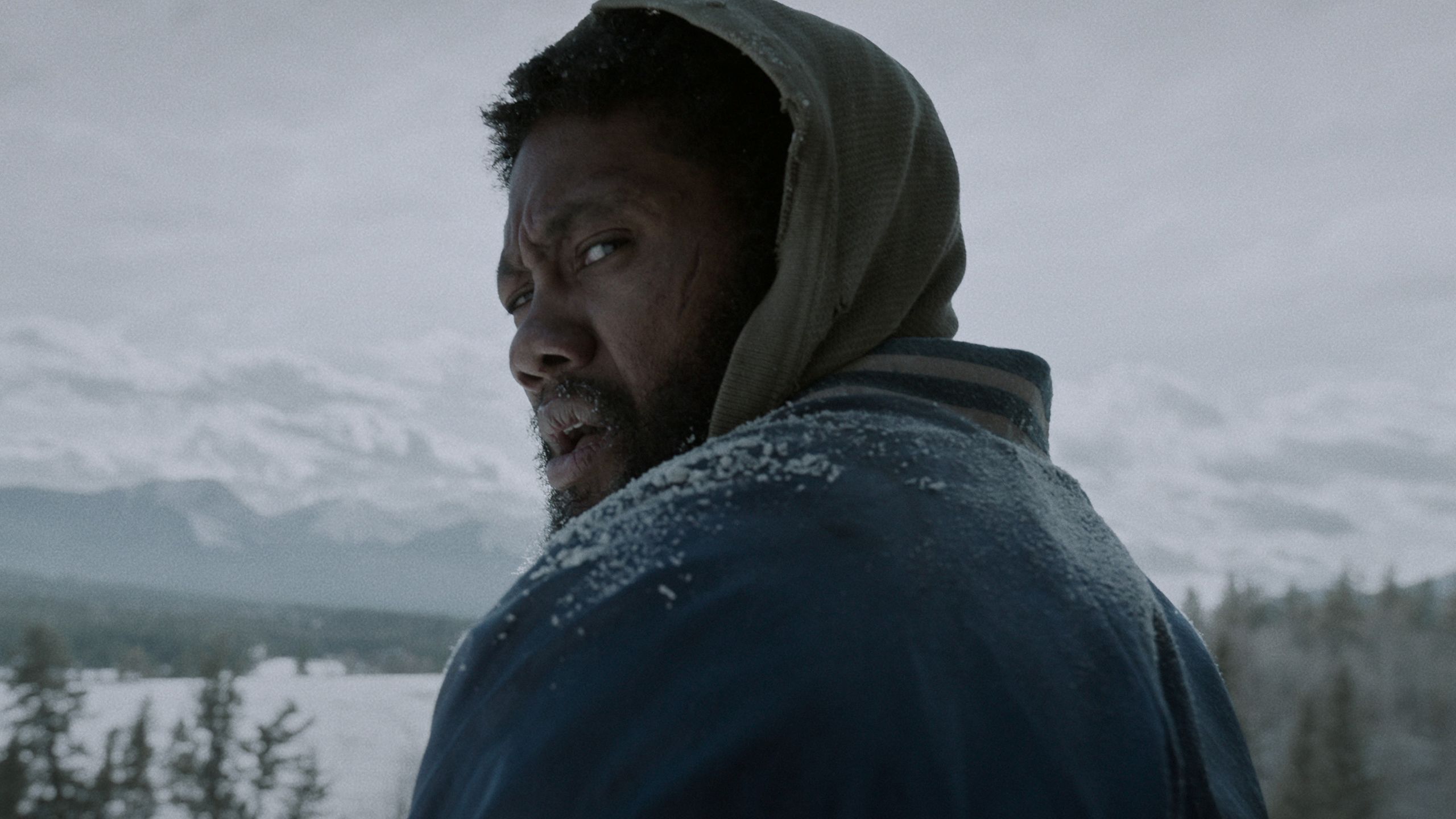 Netflix's 16-Part Zombie Spinoff Shows The Walking Dead How It's Done