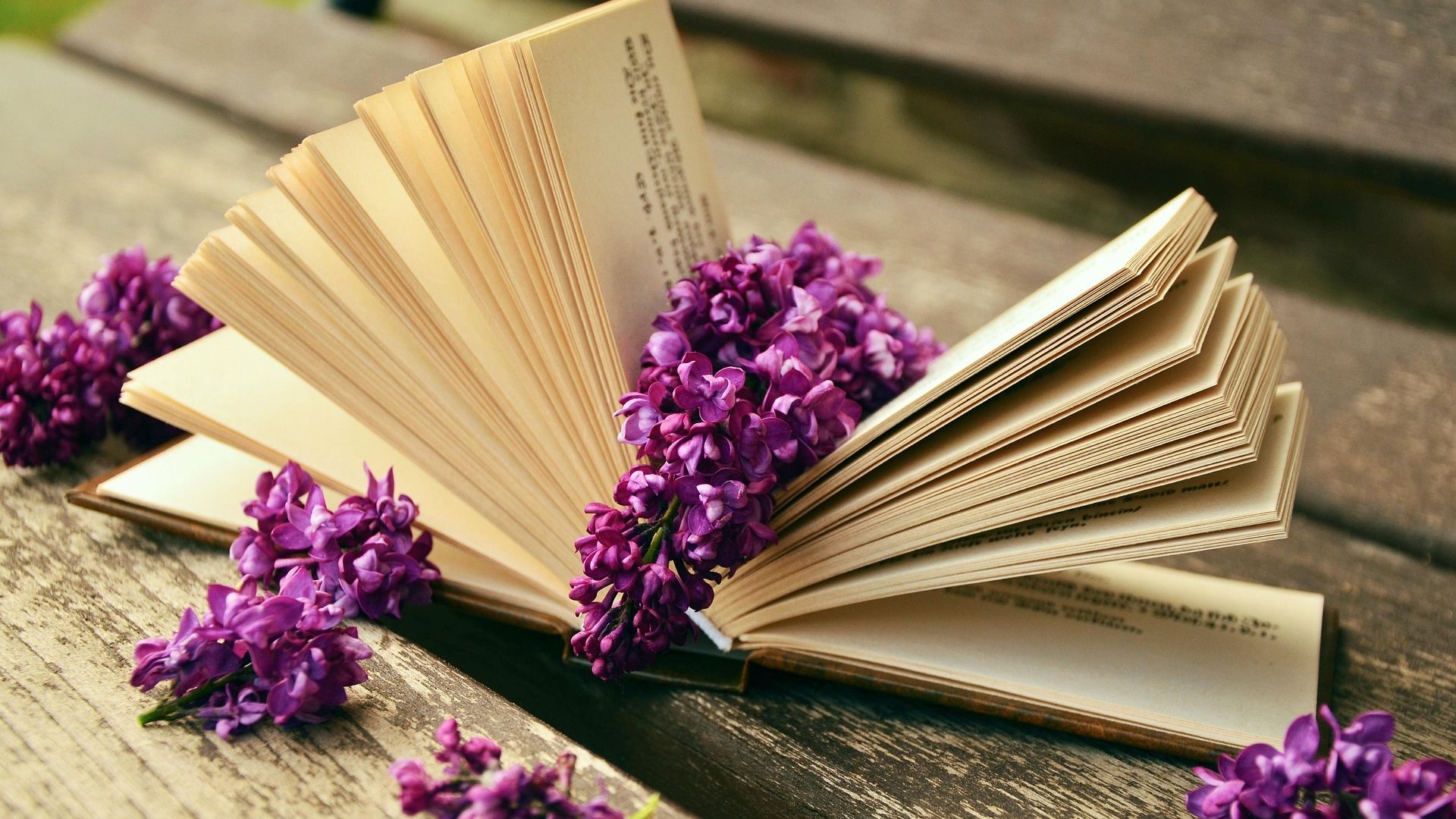 The Biggest "Free" Book Site Has Officially Shuttered image