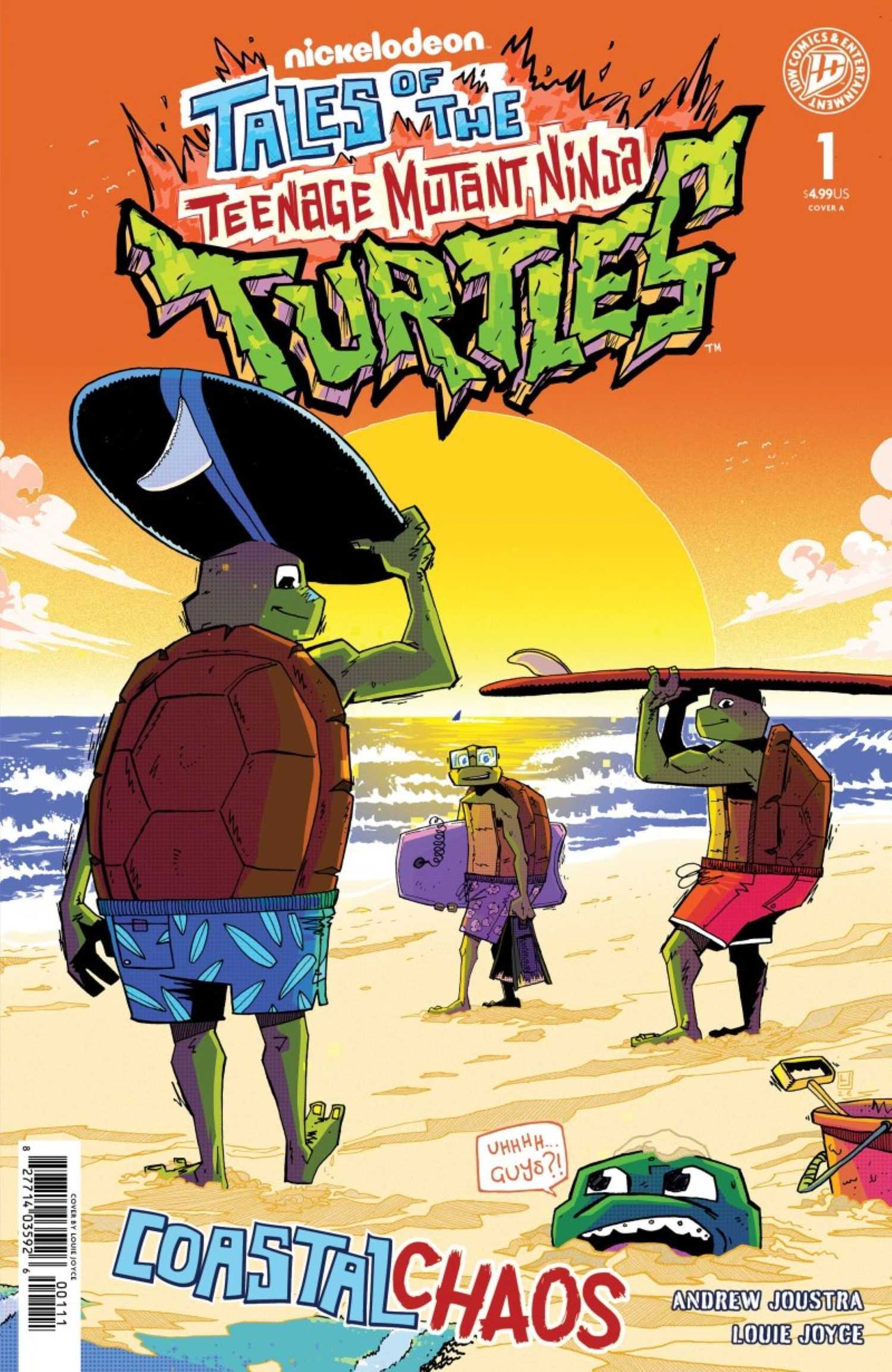 Coastal Chaos TMNT #1 כריכה ראשית