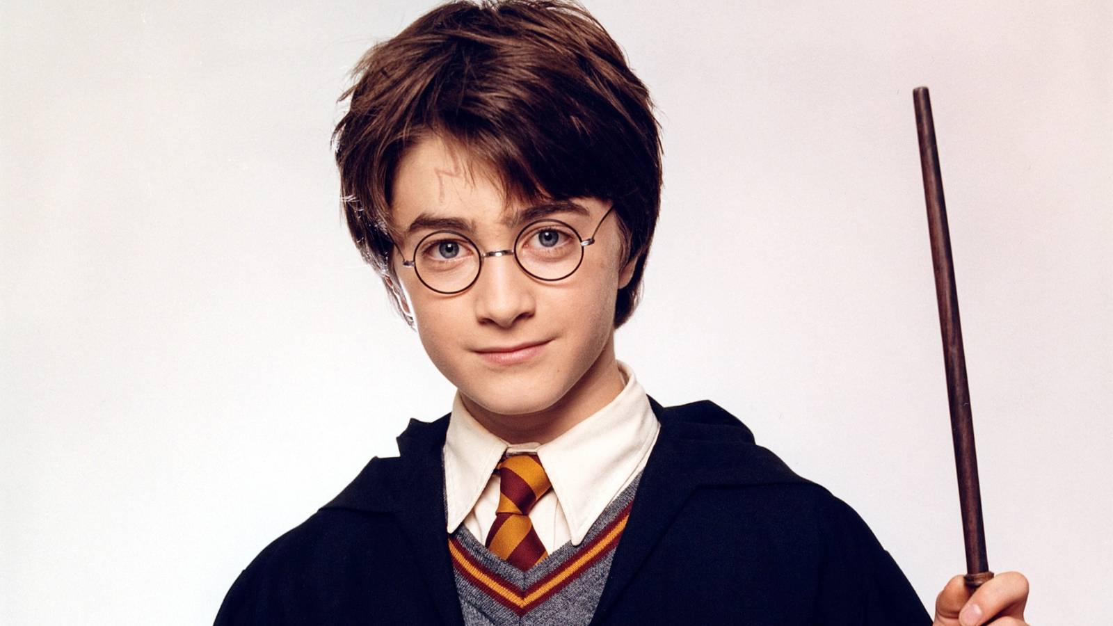 Daniel Radcliffe as Harry Potter